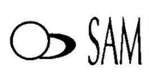 SAM Logo (EUIPO, 17.01.2007)