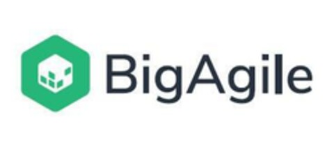 BigAgile Logo (EUIPO, 09.12.2021)