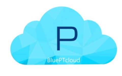 P BLUEPTCLOUD Logo (EUIPO, 29.01.2019)