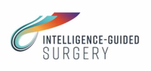 INTELLIGENCE-GUIDED SURGERY Logo (EUIPO, 05.04.2019)