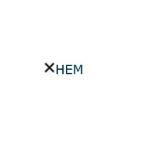 HEM Logo (EUIPO, 22.12.2020)