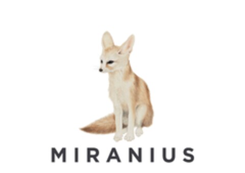 MIRANIUS Logo (EUIPO, 05/31/2024)