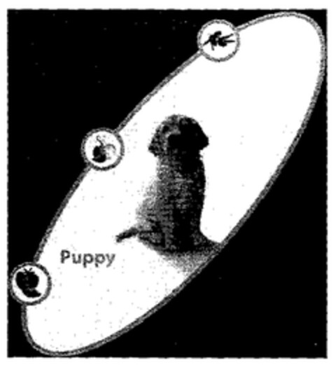 Puppy Logo (EUIPO, 07.05.2003)