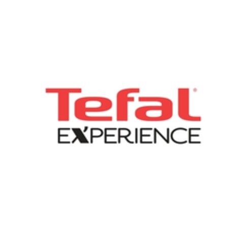 Tefal EXPERIENCE Logo (EUIPO, 29.10.2013)