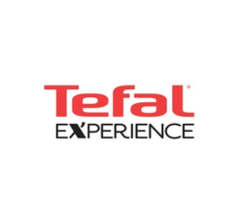 Tefal EXPERIENCE Logo (EUIPO, 10/29/2013)