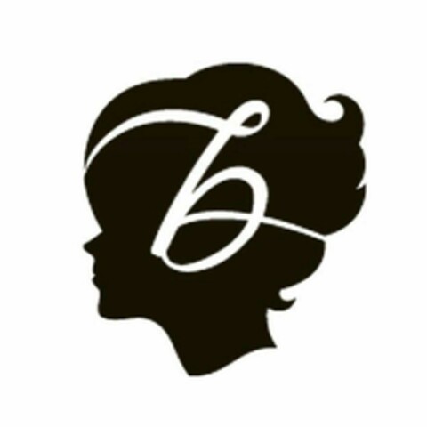 B Logo (EUIPO, 05.01.2017)