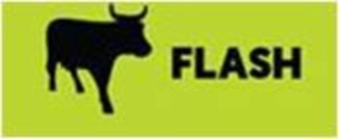 FLASH Logo (EUIPO, 03/29/2018)