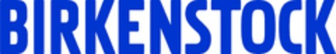 BIRKENSTOCK Logo (EUIPO, 24.01.2020)