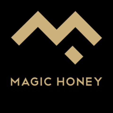 MAGIC HONEY Logo (EUIPO, 10.03.2023)