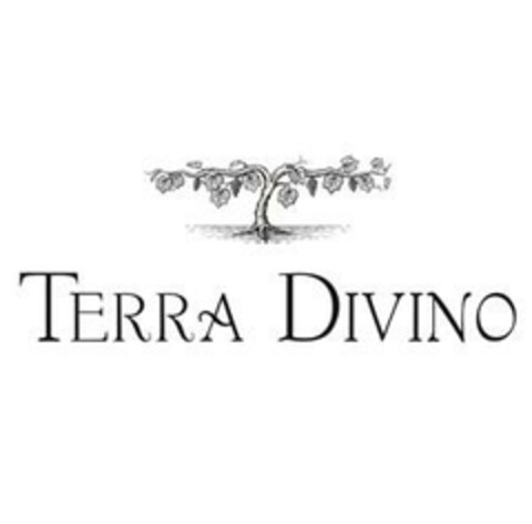 TERRA DIVINO Logo (EUIPO, 21.02.2024)