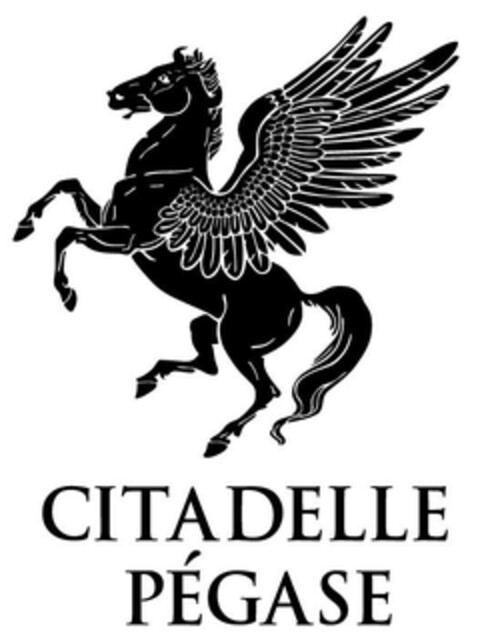 CITADELLE PÉGASE Logo (EUIPO, 02.05.2024)