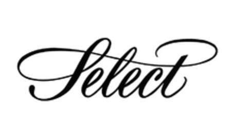 Select Logo (EUIPO, 29.12.2004)