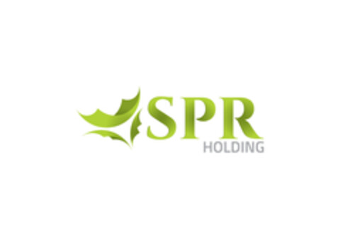 SPR  HOLDING Logo (EUIPO, 18.02.2015)