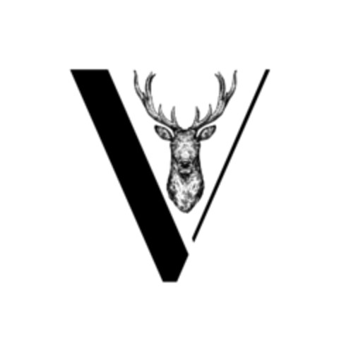 V Logo (EUIPO, 18.01.2021)