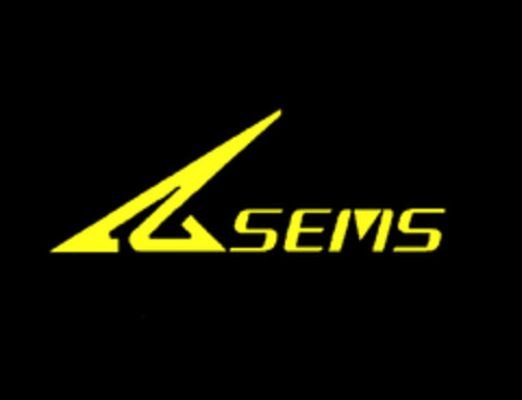 SEMS Logo (EUIPO, 11.08.2004)