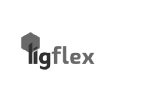 LIGFLEX Logo (EUIPO, 07.06.2018)