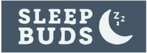 SLEEP BUDS Logo (EUIPO, 17.01.2022)