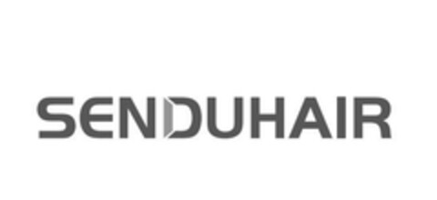 SENDUHAIR Logo (EUIPO, 25.01.2024)