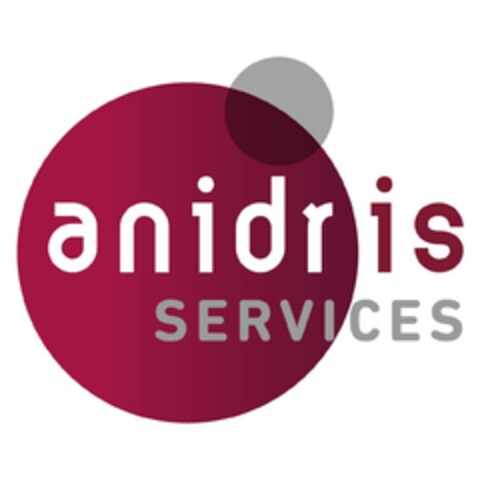 ANIDRIS SERVICES Logo (EUIPO, 08.04.2024)