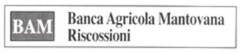 BAM Banca Agricola Mantovana Riscossioni Logo (EUIPO, 12/24/2002)