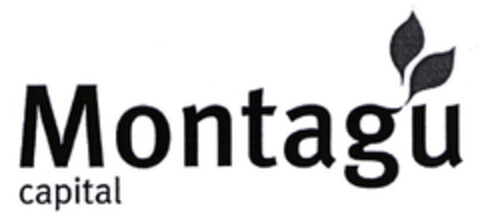 Montagu capital Logo (EUIPO, 17.03.2004)