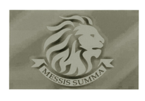 MESSIS SUMMA Logo (EUIPO, 05/11/2004)