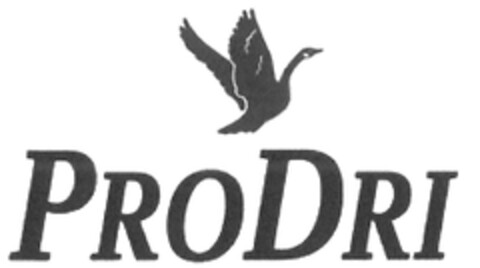 PRODRI Logo (EUIPO, 02/28/2013)