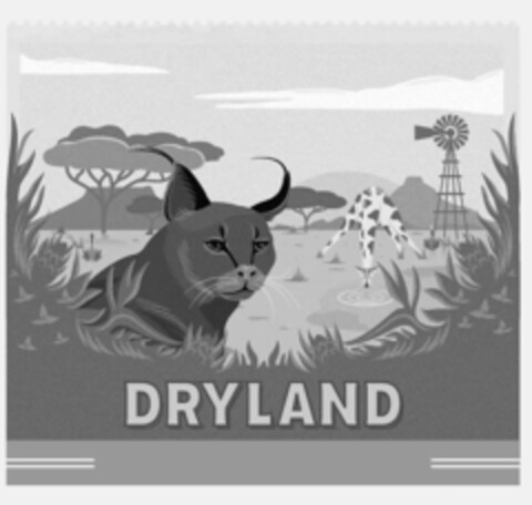 DRYLAND Logo (EUIPO, 03/13/2018)