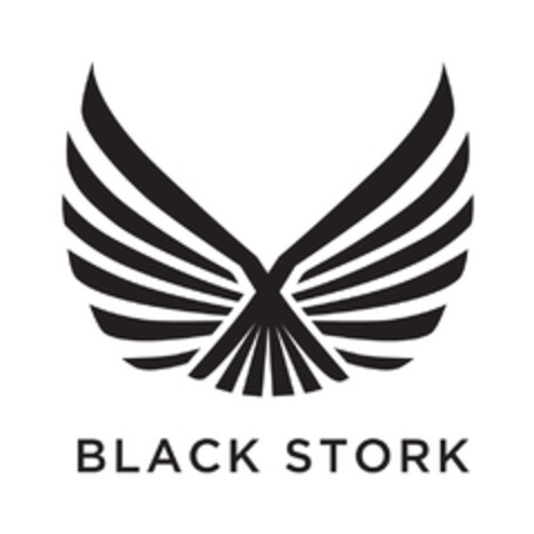 BLACK STORK Logo (EUIPO, 02/29/2020)