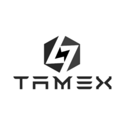 TAMEX Logo (EUIPO, 11/02/2020)