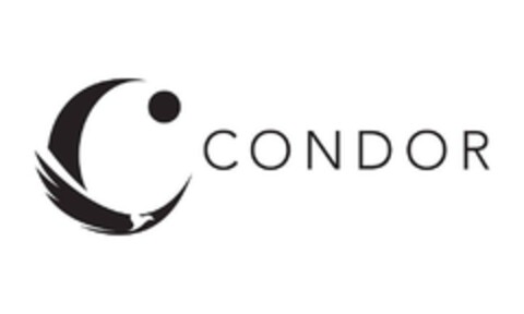 C CONDOR Logo (EUIPO, 05/11/2023)