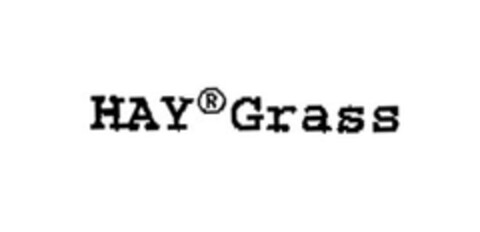 HAY Grass Logo (EUIPO, 25.04.2005)