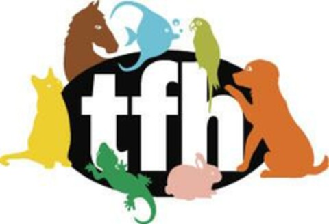 tfh Logo (EUIPO, 12/14/2006)