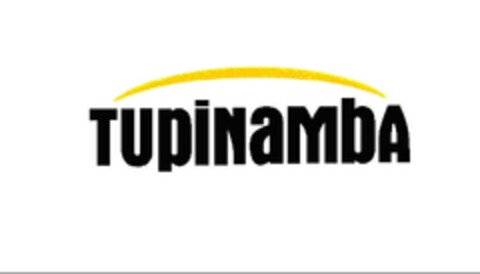 TUpiNaMbA Logo (EUIPO, 12.02.2009)