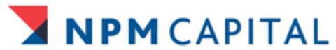 NPM CAPITAL Logo (EUIPO, 15.02.2010)