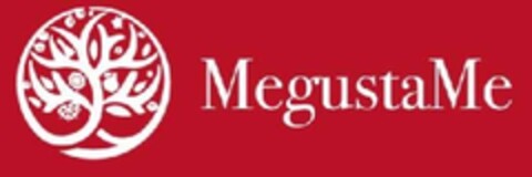 MegustaMe Logo (EUIPO, 24.08.2016)