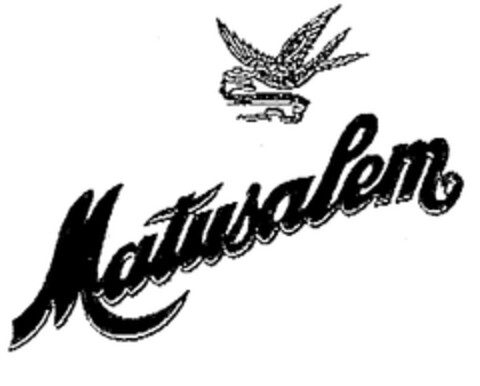 MATUSALEM Logo (EUIPO, 01.04.1996)