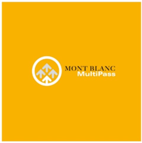 MONT BLANC MultiPass Logo (EUIPO, 02.02.2010)