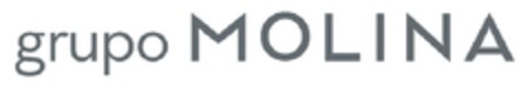 grupo MOLINA Logo (EUIPO, 26.07.2013)
