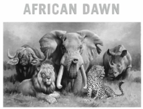 AFRICAN DAWN Logo (EUIPO, 11.05.2017)