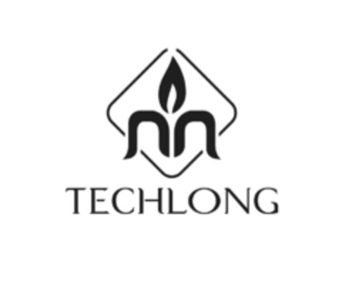 TECHLONG Logo (EUIPO, 30.11.2018)