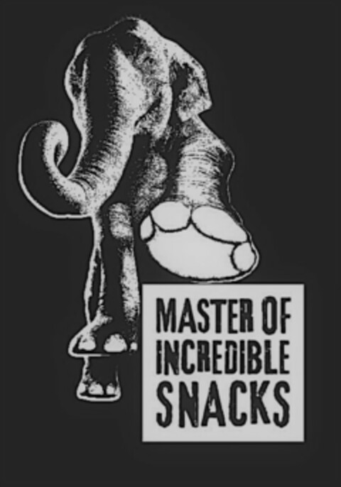 MASTER OF INCREDIBLE SNACKS Logo (EUIPO, 06.09.2021)