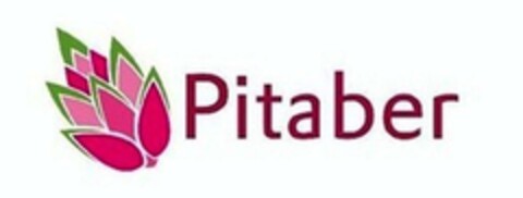 Pitaber Logo (EUIPO, 10/06/2023)