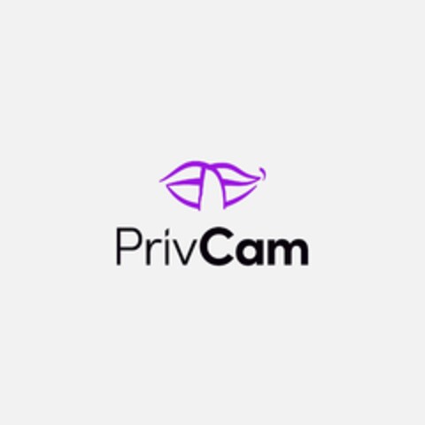 PrivCam Logo (EUIPO, 03/31/2024)