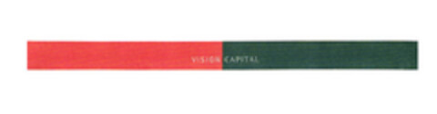 VISION CAPITAL Logo (EUIPO, 04/19/2007)