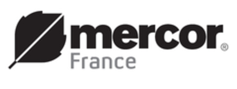 mercor France Logo (EUIPO, 10.02.2017)