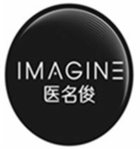 IMAGINE Logo (EUIPO, 02.06.2017)