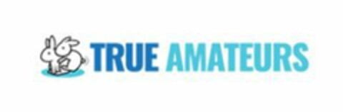 TRUE AMATEURS Logo (EUIPO, 04.04.2022)