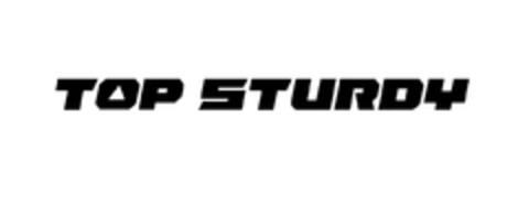 TOP STURDY Logo (EUIPO, 09/01/2023)