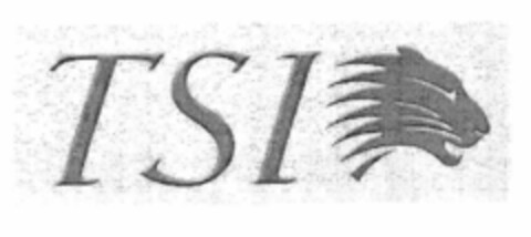 TSI Logo (EUIPO, 19.09.2000)